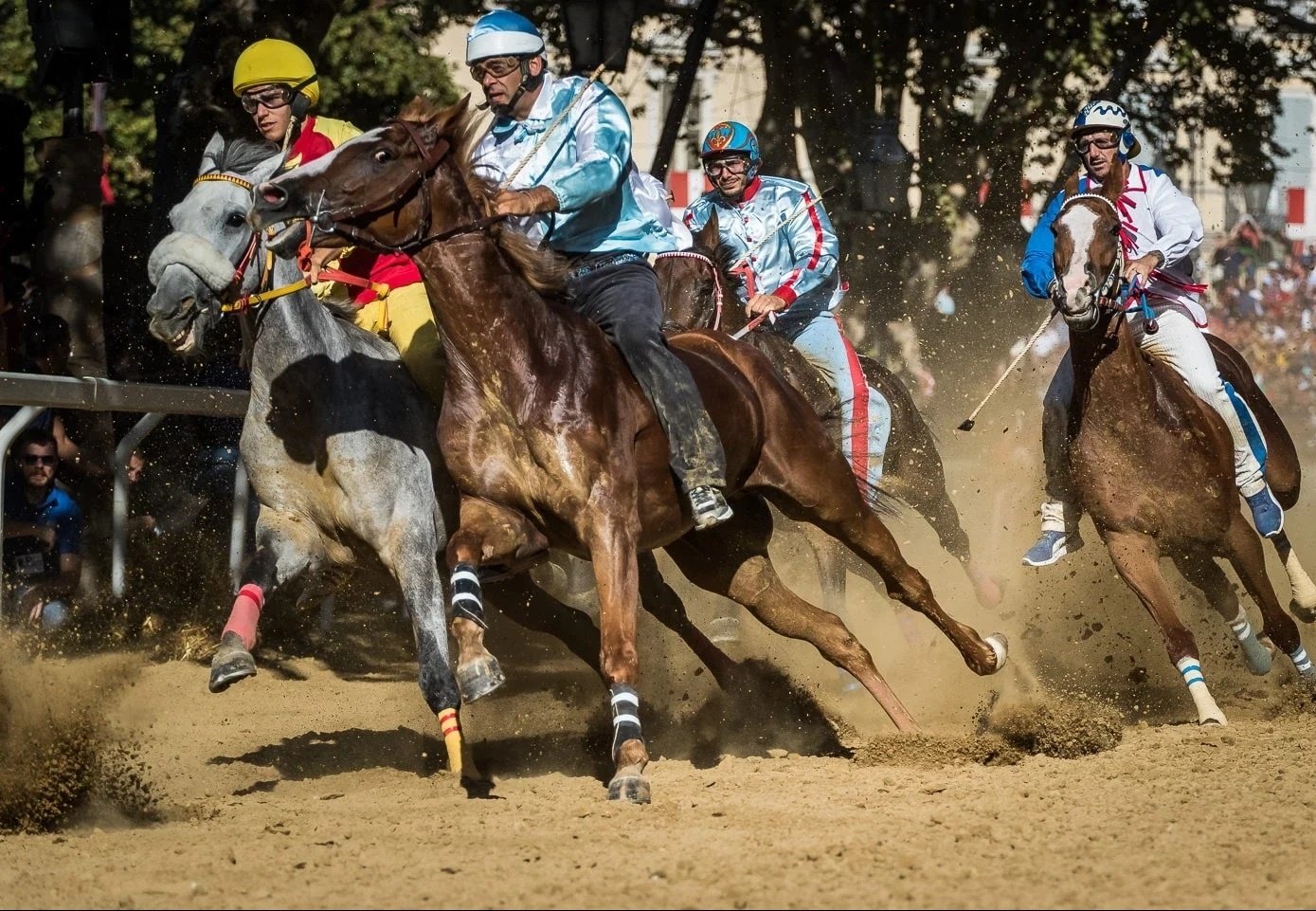 palio di Asti, la corsa dei cavalli