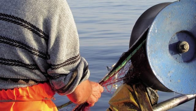 Piccola pesca di Porto Cesareo