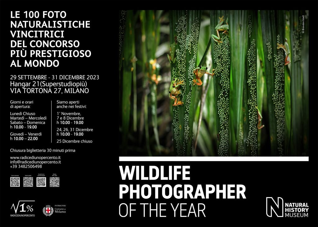 Locandina Wildlife Photographer of the Year 2023