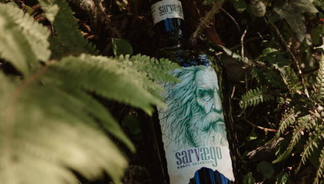Amaro Sarvaego into the wild
