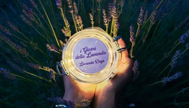 il Festival della Lavanda di Pieve di Santa Luce