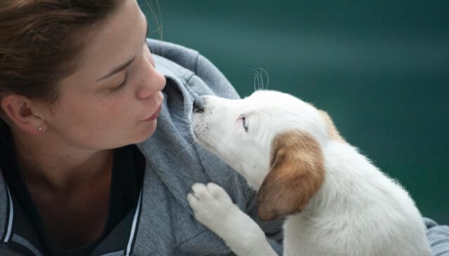 woman wearing gray jacket beside white puppy