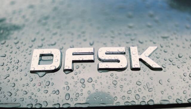 dfsk logo