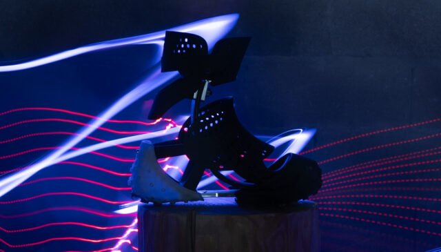Salomon Adaptive project