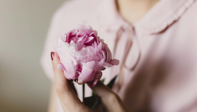 pink petaled flower