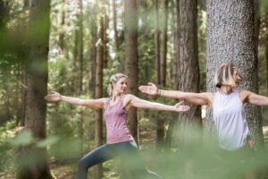 yoga nel bosco, Gnollhof