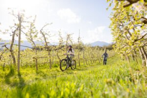 Pineta Nature Resort in bicicletta