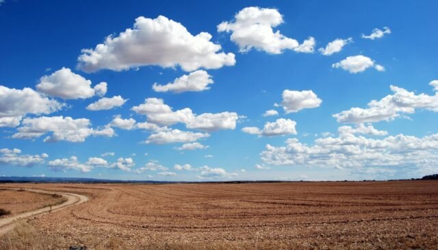 brown field and blue sky
