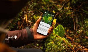 alltrails Peak custom routes