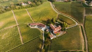 aerial view of houses and croplands