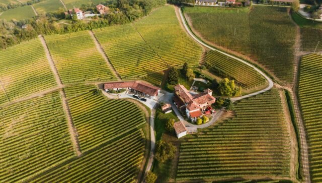aerial view of houses and croplands