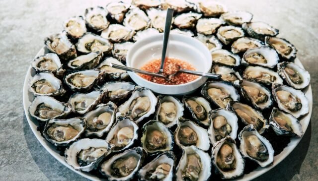 oysters on plate