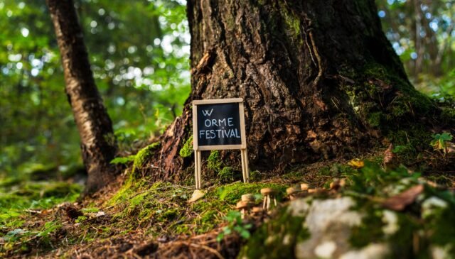 Orme – Festival dei Sentieri. Un albero nel bosco