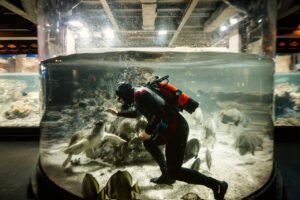 Gianmarco Maraviglia fotografo - Hypersea: Behind the glass