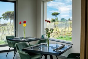 Vigna delle Rose di Casa Setaro