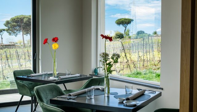 Vigna delle Rose di Casa Setaro