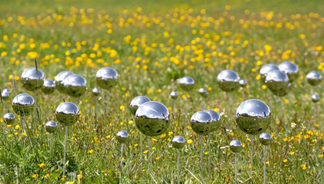 Stefano Caimi, Fairy Ring, 2023