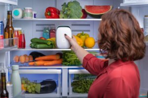 SHELFY, il purificatore smart per il frigorifero