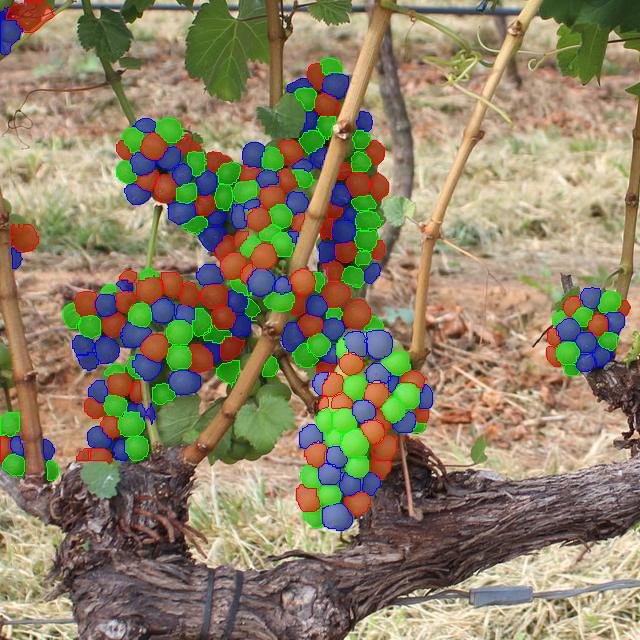 FoodSeed: la transizione sostenibile dell’AgriFoodTech italiano