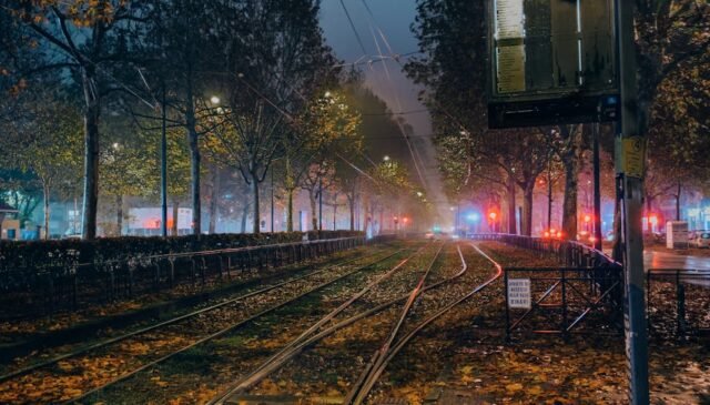 fallen leaves on tram tracks at nights
