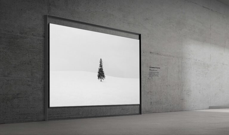 CES 2026, Samsung ha presentato il primo TV Micro RGB da 130 pollici al mondo (modello R95H)