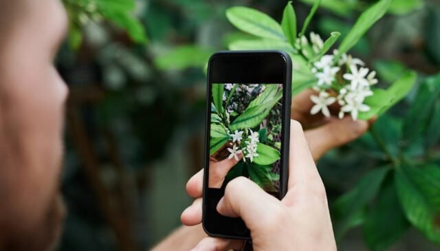 man taking a photo of flower