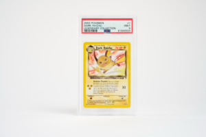 Dark Raichu