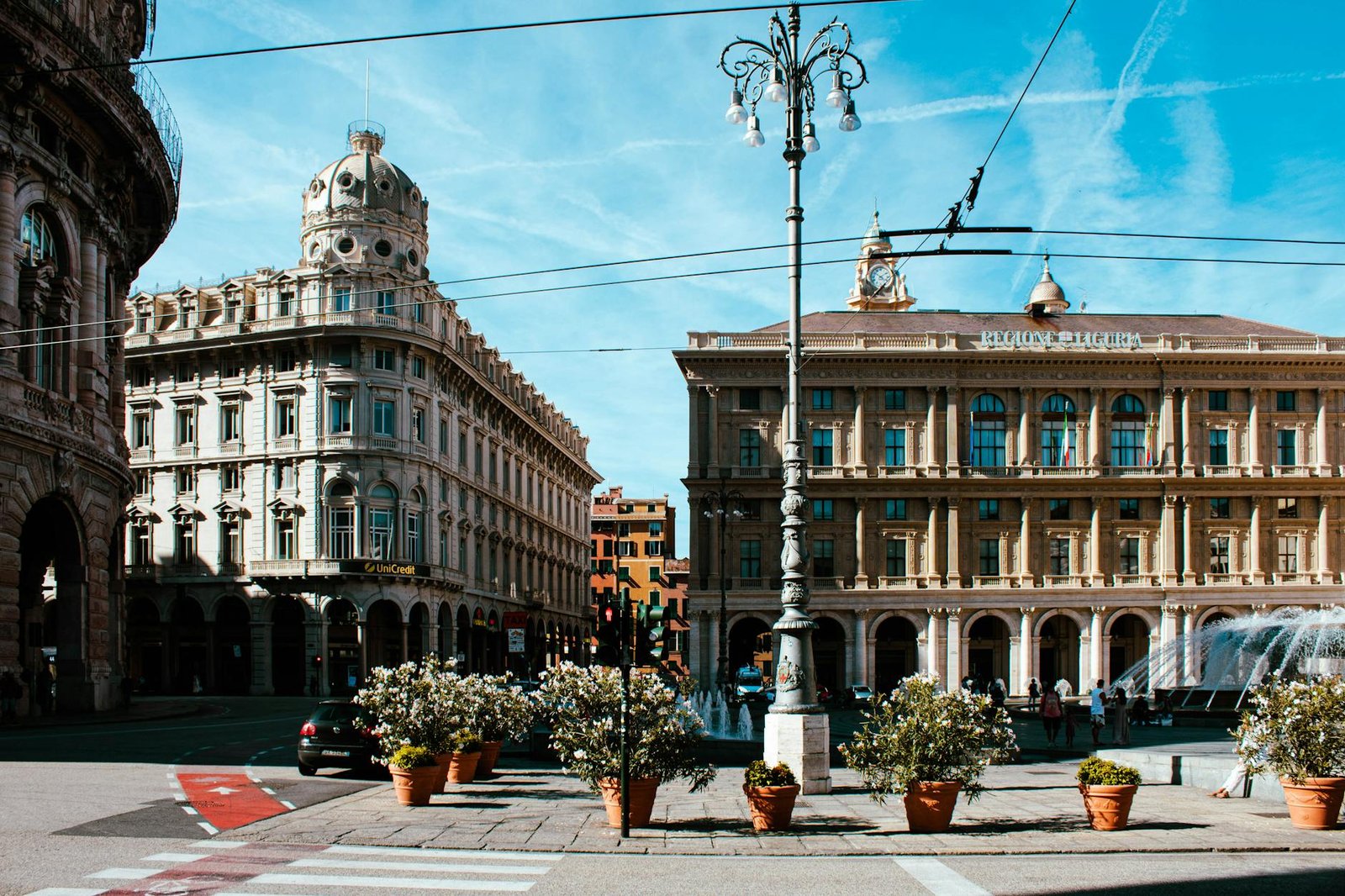 plants in pots on city street