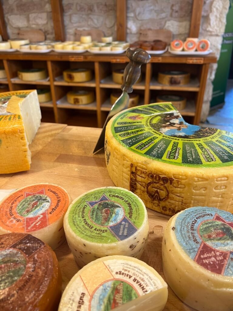 Made in Malga 2026 sta per iniziare
